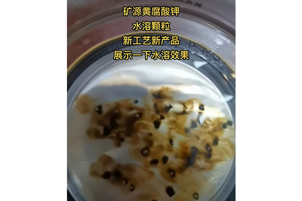 礦源黃腐酸鉀尾料顆粒水溶實驗